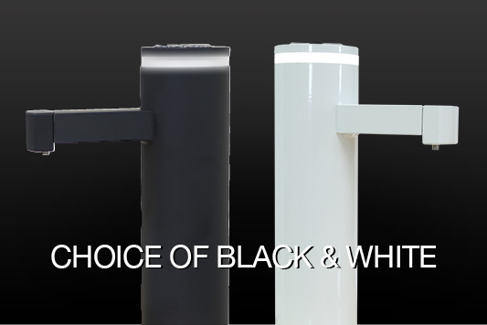 black or white color